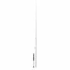 Shimano Yasei AX Zander Vertical Jig Spin 1,90M 14-28 Gram 1 Shimano Yasei AX Zander Vertical Jig Spin 1,90M 14-28 Gram -Kleinmateriaal Verkoopwinkel 24487ec6fce64eccbecbc4672ecbf09a