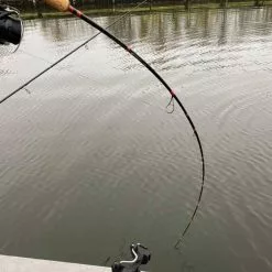 Patriot Pike Specialist Molen 2,44M 5 Patriot Pike Specialist Molen 2,44M -Kleinmateriaal Verkoopwinkel 24c4c58ef5f24d40a1da03955d288728