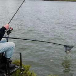 Cresta Pro-C Square Mesh Landingnet -Kleinmateriaal Verkoopwinkel 39f74efcfe844486b5e1f5afe806ea5e