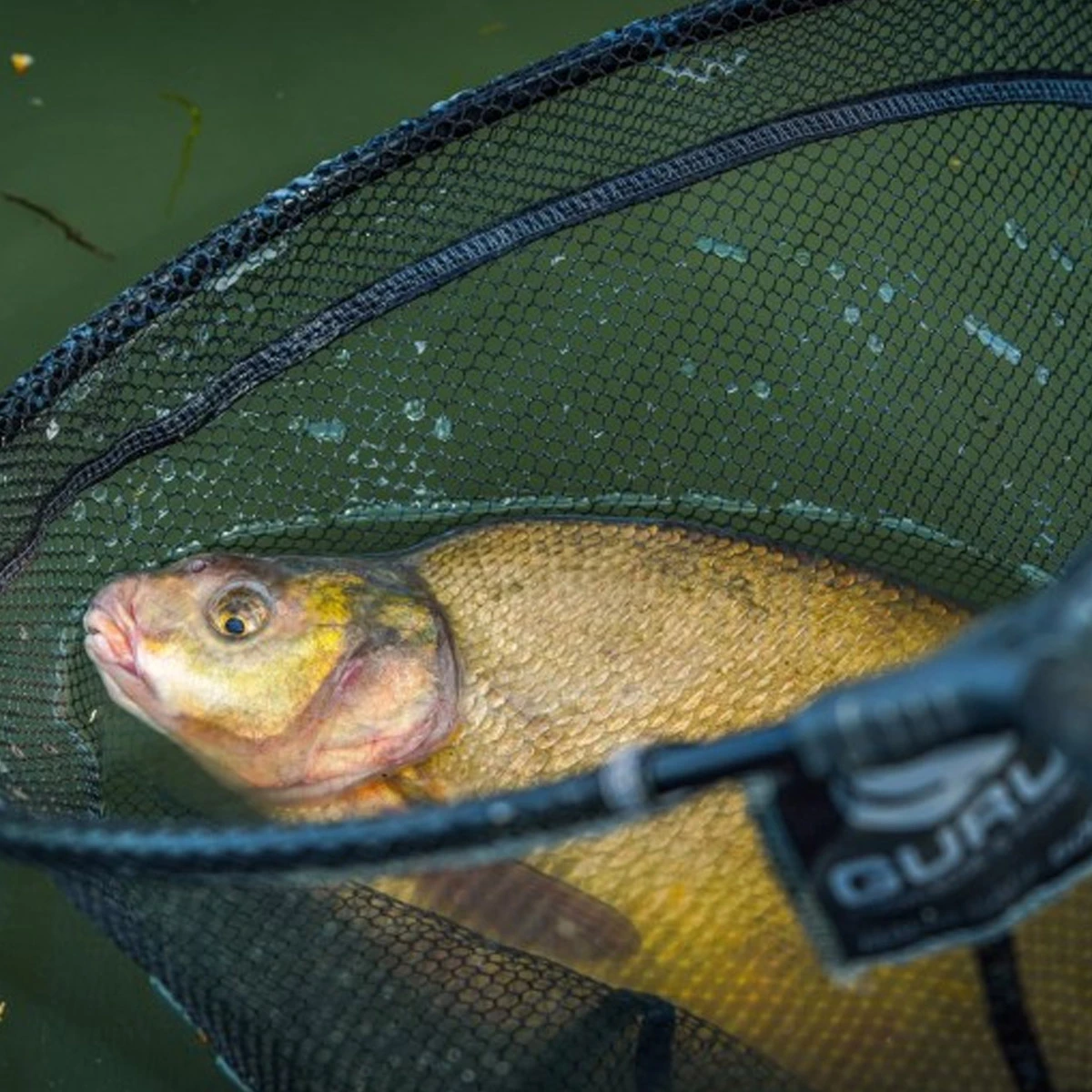 Guru Barb Safe Net 400 4 Guru Barb Safe Net 400 - Afbeelding 2