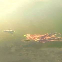 Zeck Propellor U-Float Solid Black -Kleinmateriaal Verkoopwinkel c1cee3e2fd654457b5b4d2749178dcdd